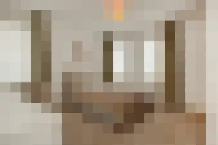 Pijlkruid 7 Berlicum thumbnail 44