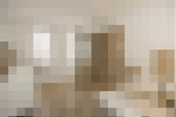 Pijlkruid 7 Berlicum thumbnail 47