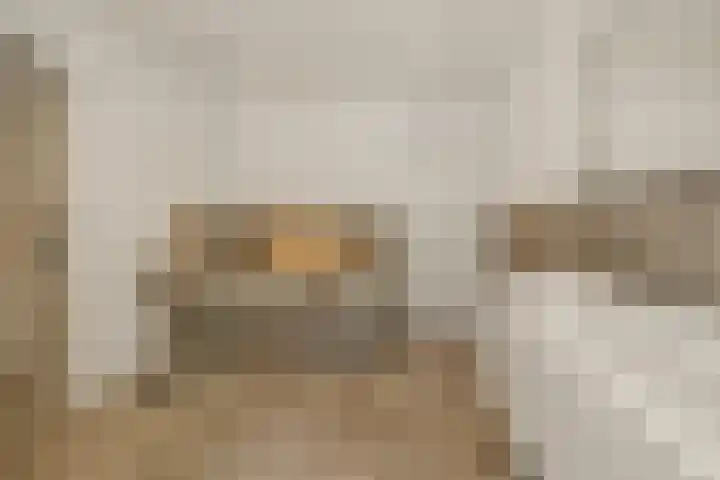 Pijlkruid 7 Berlicum thumbnail 48
