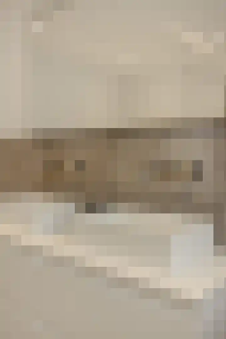 Pijlkruid 7 Berlicum thumbnail 49
