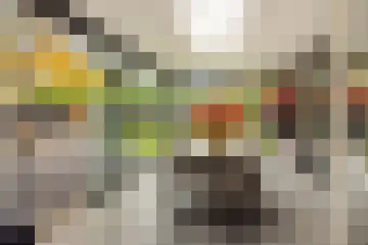 Pijlkruid 7 Berlicum thumbnail 5