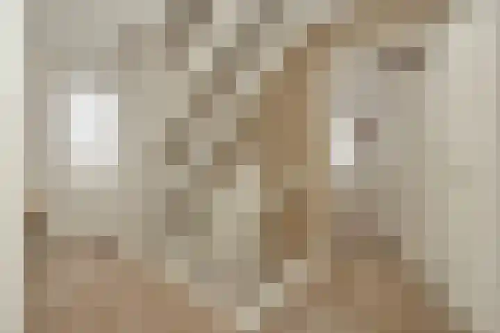 Pijlkruid 7 Berlicum thumbnail 52