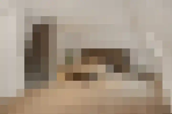 Pijlkruid 7 Berlicum thumbnail 53