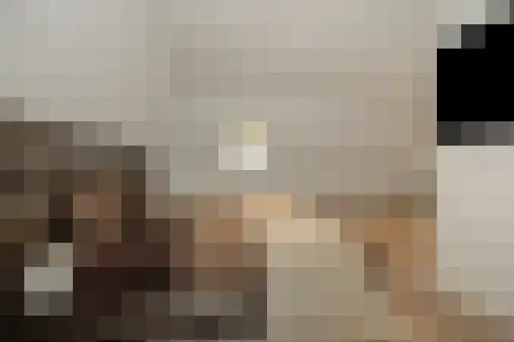 Pijlkruid 7 Berlicum thumbnail 55