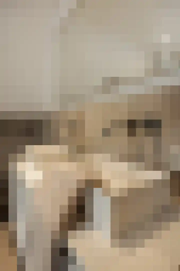 Pijlkruid 7 Berlicum thumbnail 57