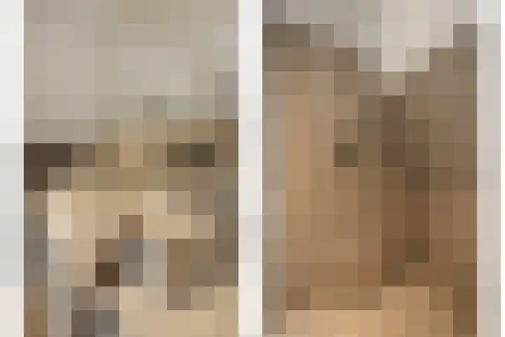 Pijlkruid 7 Berlicum thumbnail 59