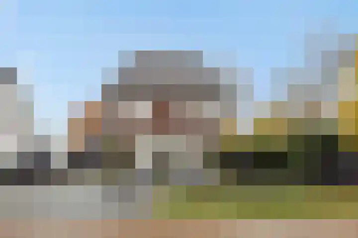 Pijlkruid 7 Berlicum thumbnail 6
