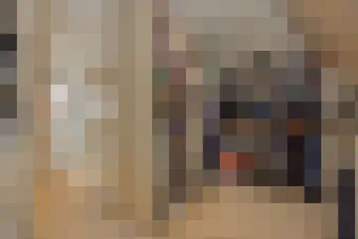 Pijlkruid 7 Berlicum thumbnail 60
