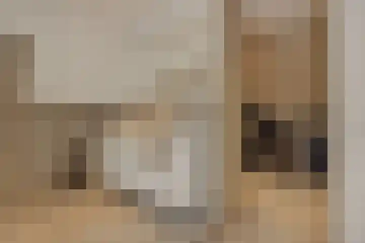 Pijlkruid 7 Berlicum thumbnail 61