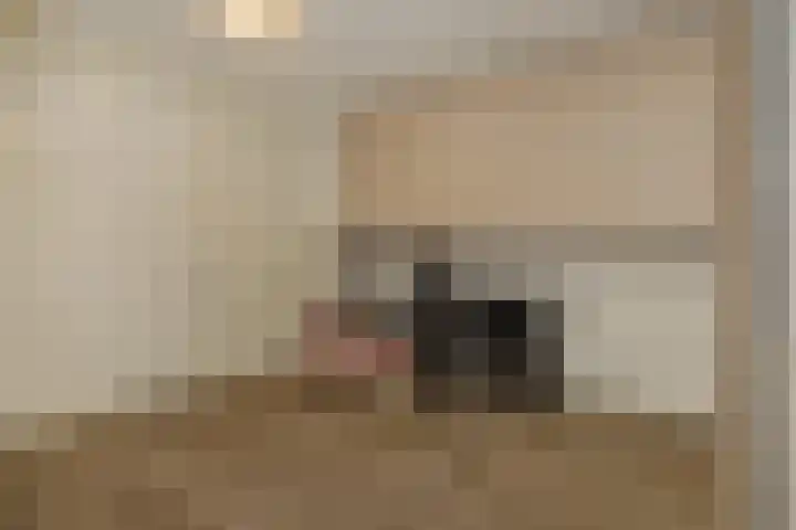 Pijlkruid 7 Berlicum thumbnail 63