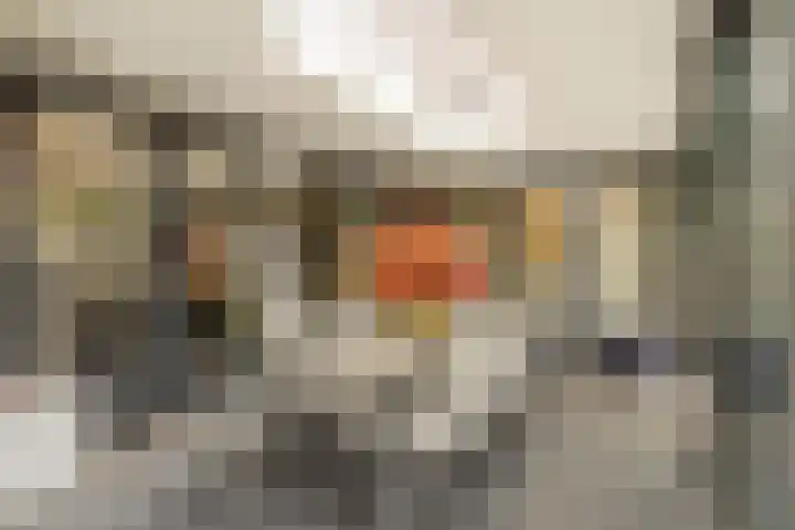 Pijlkruid 7 Berlicum thumbnail 65