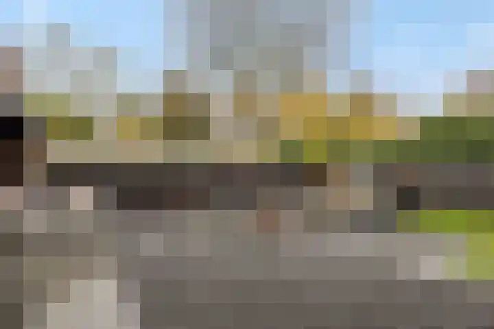 Pijlkruid 7 Berlicum thumbnail 66