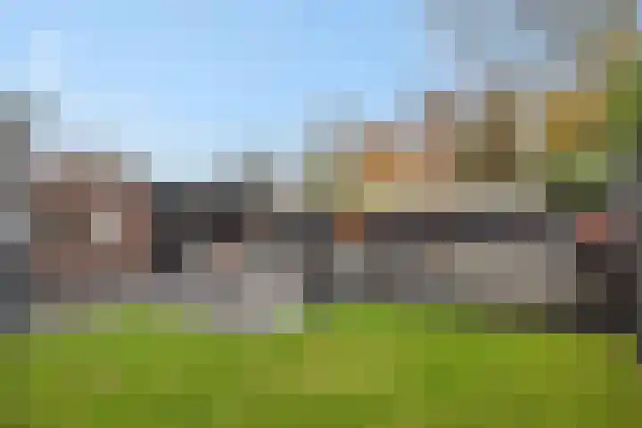 Pijlkruid 7 Berlicum thumbnail 67