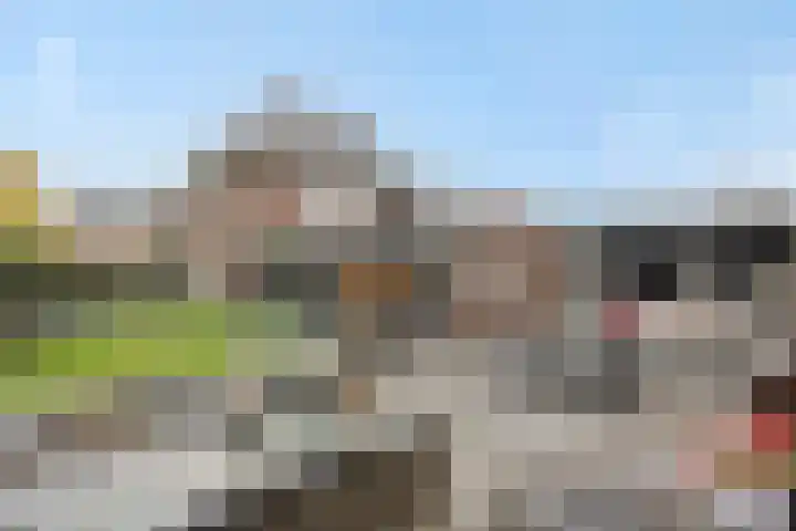 Pijlkruid 7 Berlicum thumbnail 68