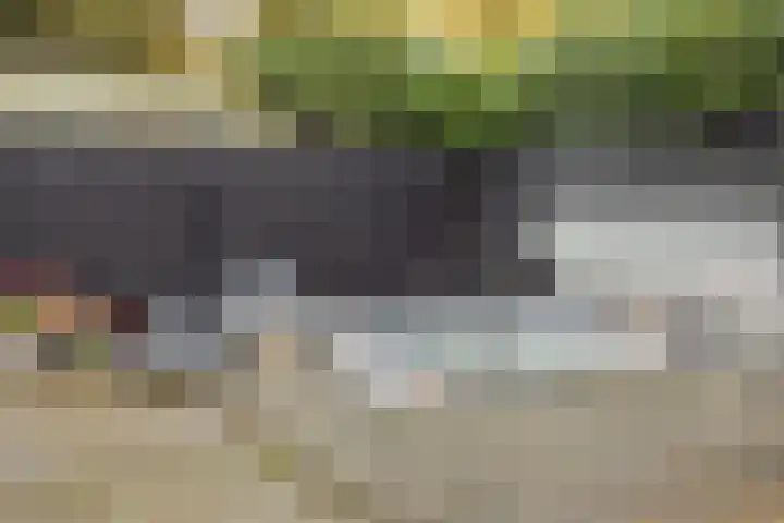 Pijlkruid 7 Berlicum thumbnail 69