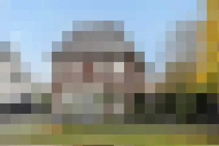Pijlkruid 7 Berlicum thumbnail 7