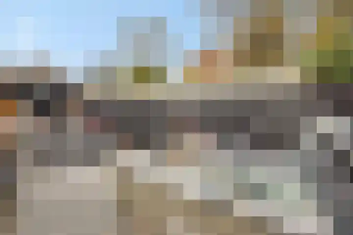 Pijlkruid 7 Berlicum thumbnail 70
