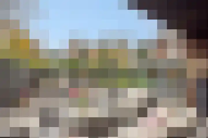Pijlkruid 7 Berlicum thumbnail 71
