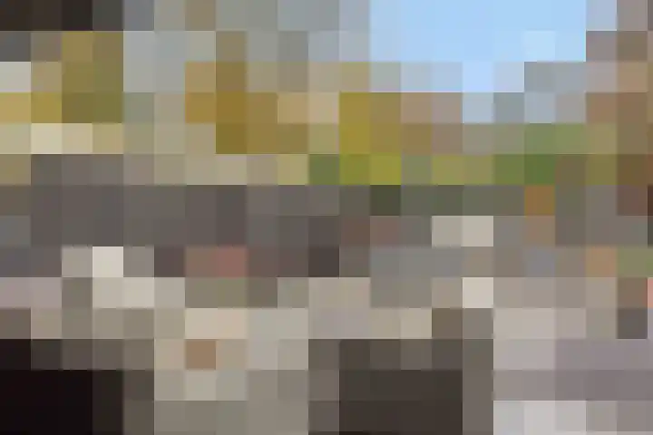 Pijlkruid 7 Berlicum thumbnail 72