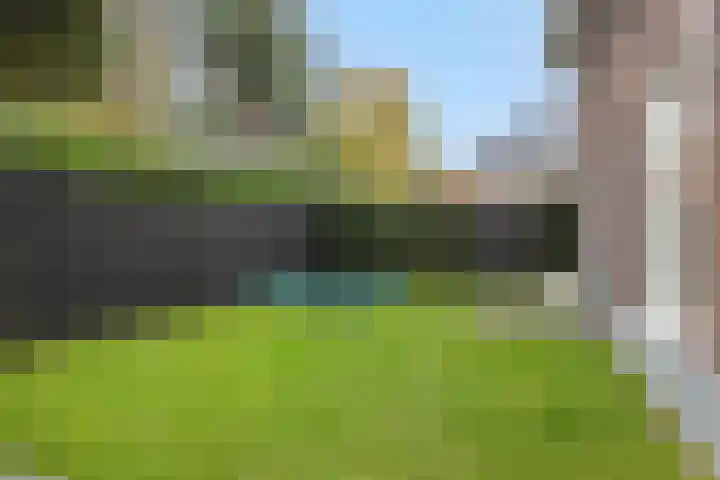 Pijlkruid 7 Berlicum thumbnail 73