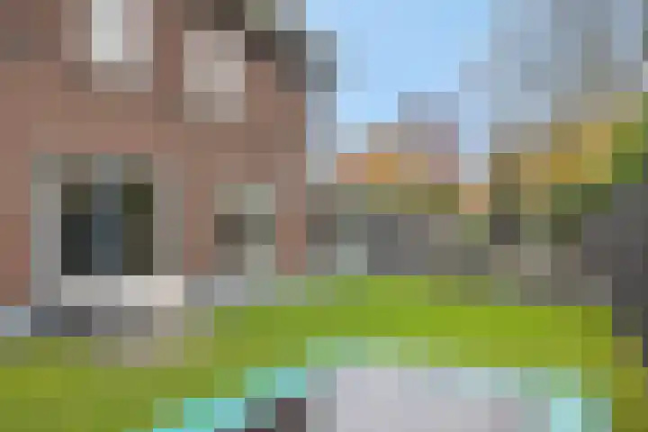Pijlkruid 7 Berlicum thumbnail 74