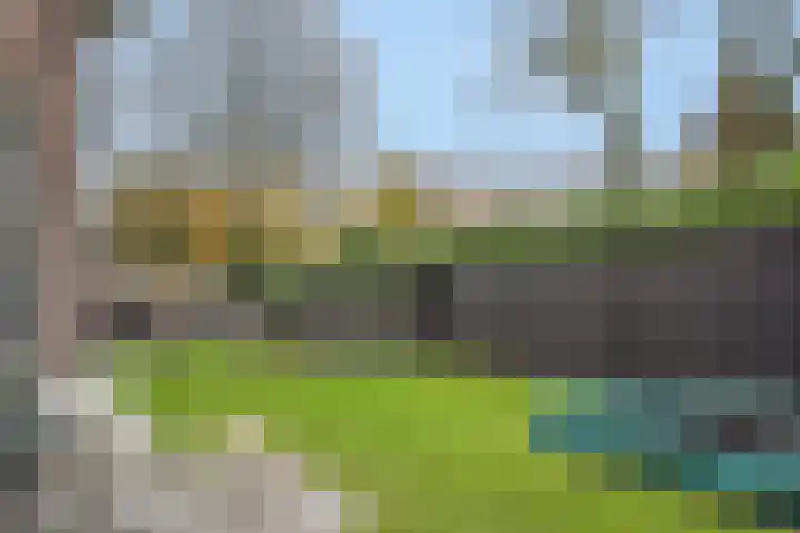 Pijlkruid 7 Berlicum thumbnail 75