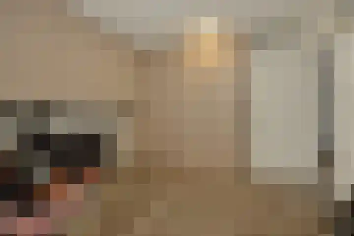 Pijlkruid 7 Berlicum thumbnail 77