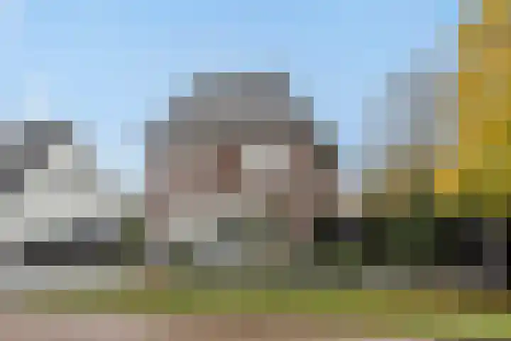 Pijlkruid 7 Berlicum thumbnail 78
