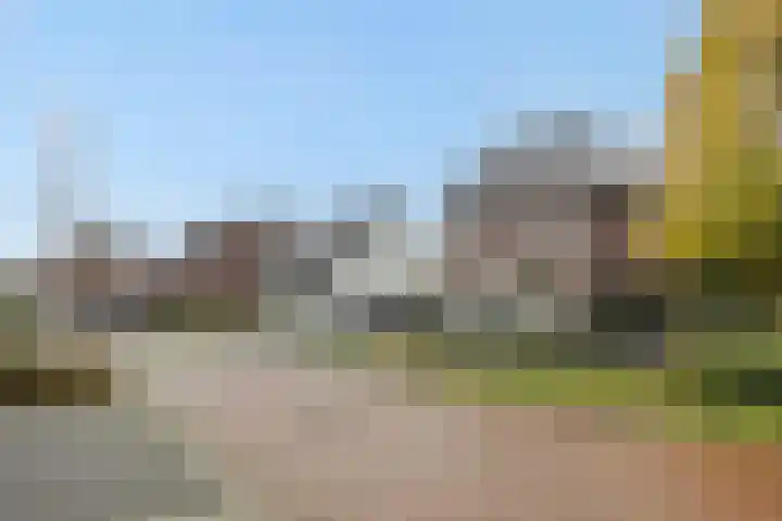 Pijlkruid 7 Berlicum thumbnail 79