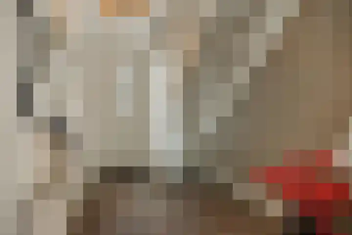 Pijlkruid 7 Berlicum thumbnail 8
