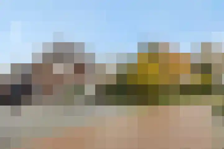Pijlkruid 7 Berlicum thumbnail 80