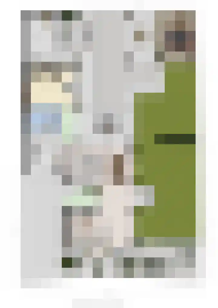 Pijlkruid 7 Berlicum thumbnail 81