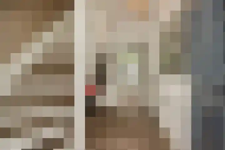 Pijlkruid 7 Berlicum thumbnail 9