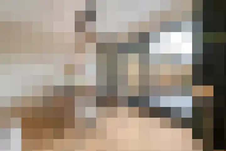 Pijlkruid 7 Nijverdal thumbnail 10