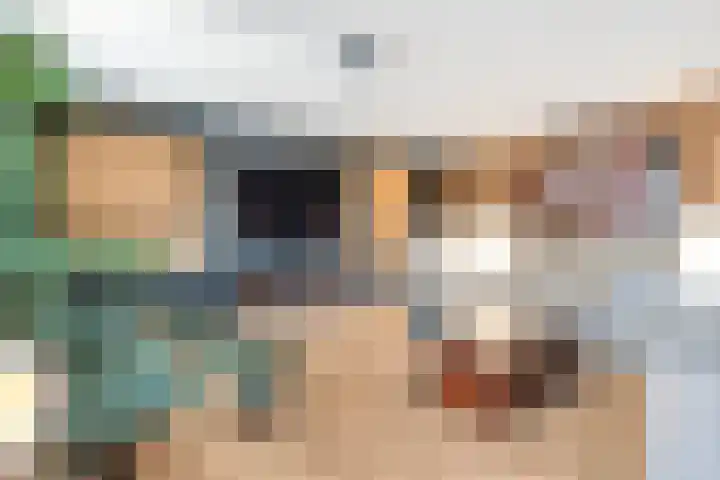 Pijlkruid 7 Nijverdal thumbnail 11