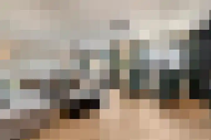 Pijlkruid 7 Nijverdal thumbnail 12