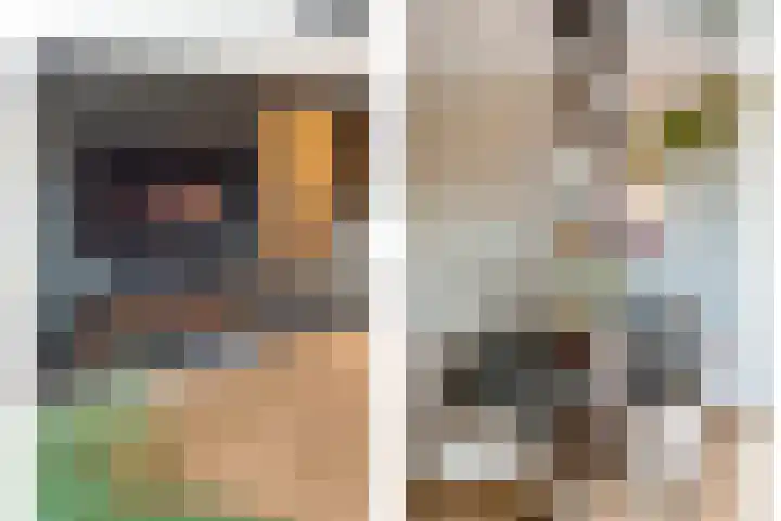 Pijlkruid 7 Nijverdal thumbnail 13