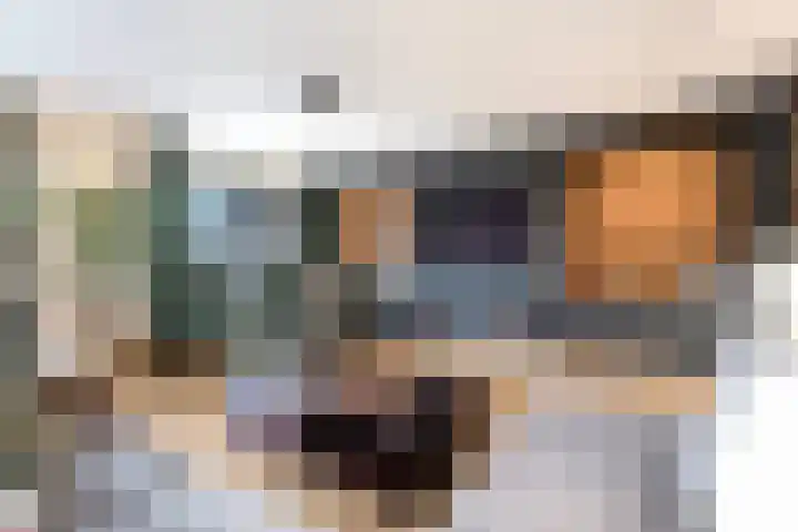 Pijlkruid 7 Nijverdal thumbnail 14