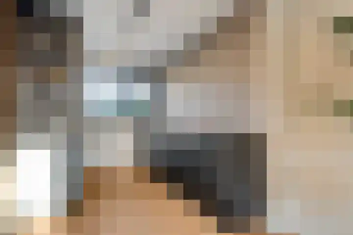 Pijlkruid 7 Nijverdal thumbnail 16