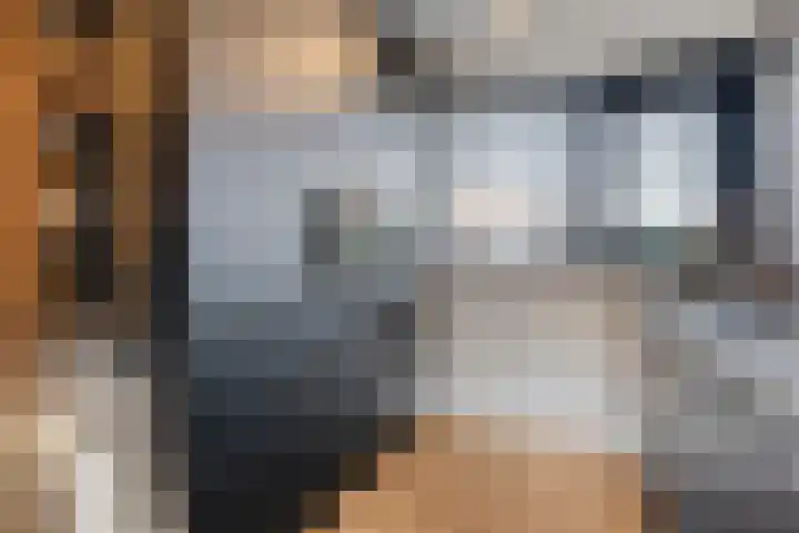 Pijlkruid 7 Nijverdal thumbnail 17