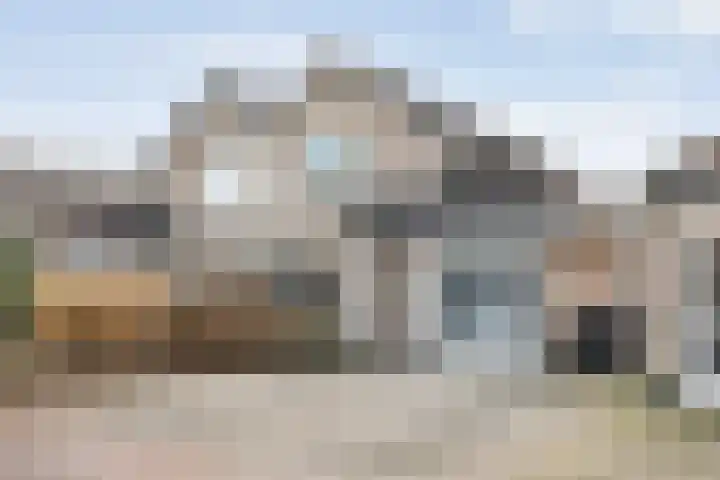 Pijlkruid 7 Nijverdal foto 2