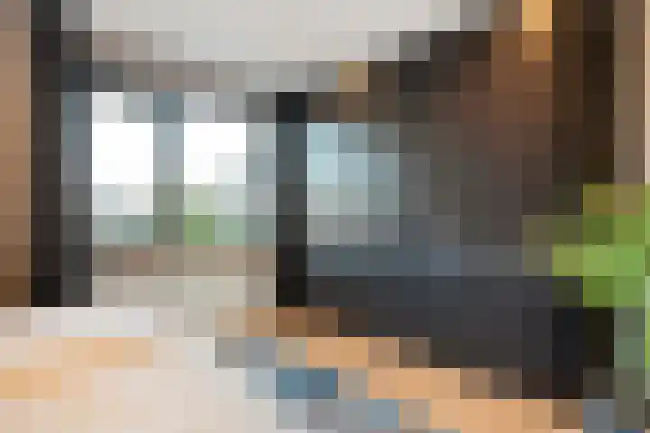 Pijlkruid 7 Nijverdal thumbnail 22
