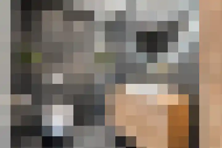 Pijlkruid 7 Nijverdal thumbnail 23