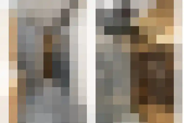 Pijlkruid 7 Nijverdal thumbnail 25