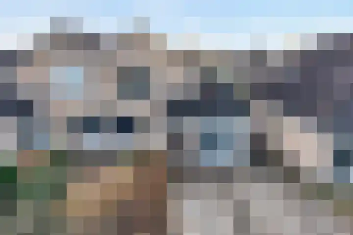 Pijlkruid 7 Nijverdal foto 3