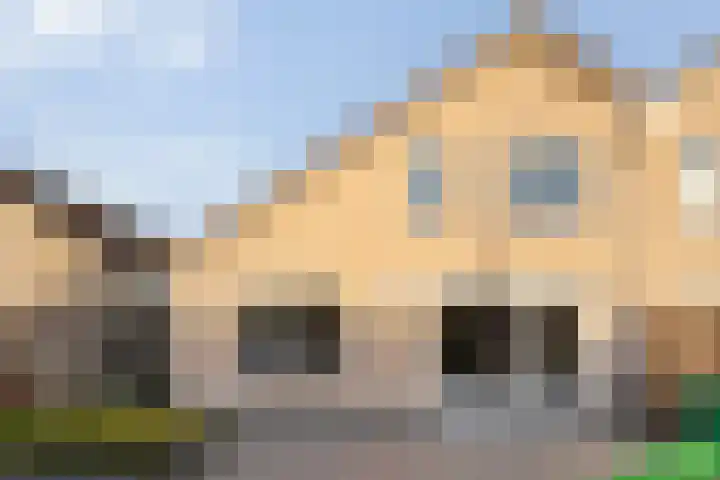 Pijlkruid 7 Nijverdal thumbnail 30