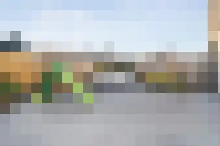 Pijlkruid 7 Nijverdal thumbnail 31