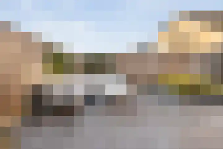 Pijlkruid 7 Nijverdal thumbnail 32
