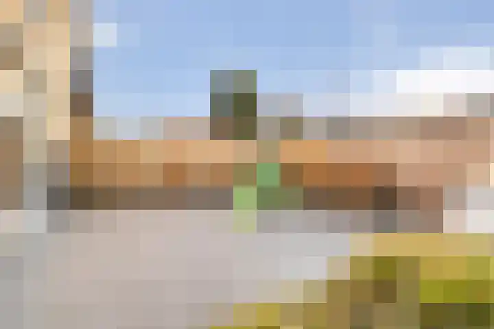 Pijlkruid 7 Nijverdal thumbnail 34