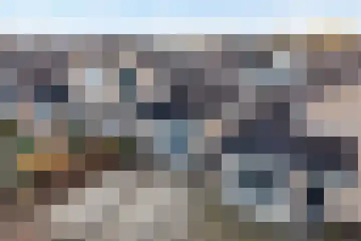 Pijlkruid 7 Nijverdal thumbnail 35